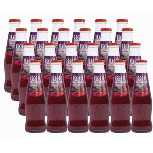 Bor Ekstra Maden Suyu 200 Ml Karadut/Frenk Üzümü*24