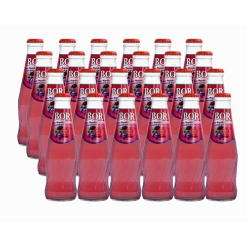 Bor Ekstra Maden Suyu 200 Ml Orman Meyveleri*24