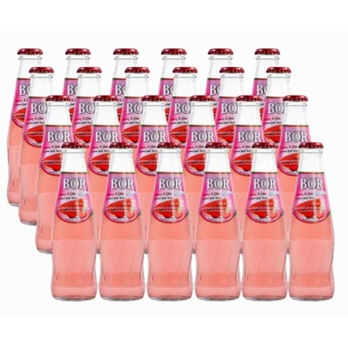 Bor Ekstra Maden Suyu 200 Ml Karpuz Çilek*24