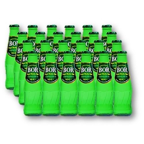 Bor Maden Suyu Sade 200 Ml *24