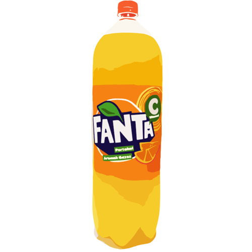 Fanta Portakal 2,50 Lt* 6 Pet