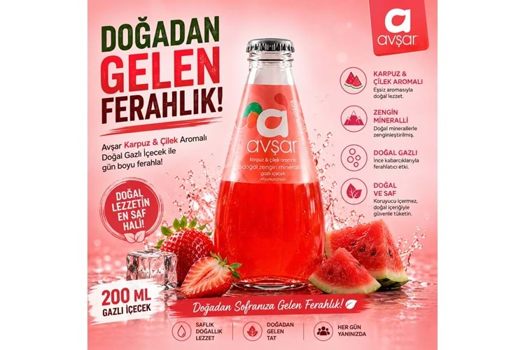 Avşar 200 Ml*24 Karpuz & Çilek