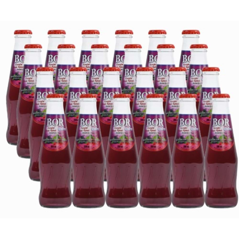 Bor Ekstra Maden Suyu 200 Ml Karadut/Frenk Üzümü*24