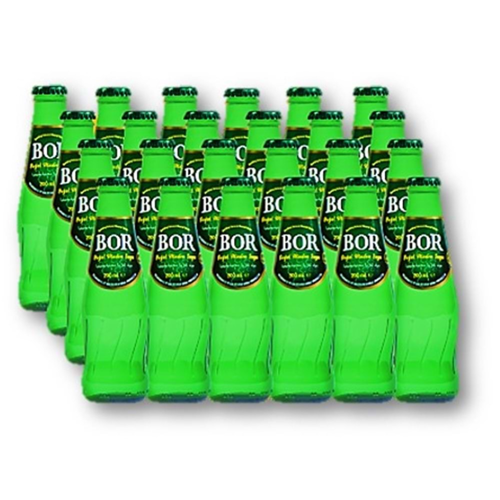 Bor Maden Suyu Sade 200 Ml *24